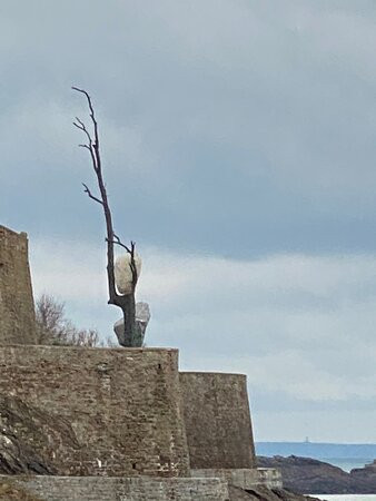 Arbre Monumental-迪纳尔必去景点