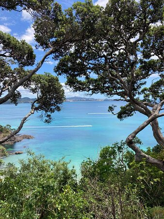 Whale Bay-Matapouri必去景点