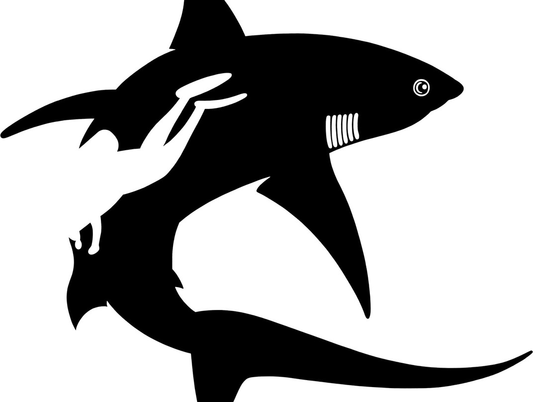 Fish Buddies Dive Shop景点图片