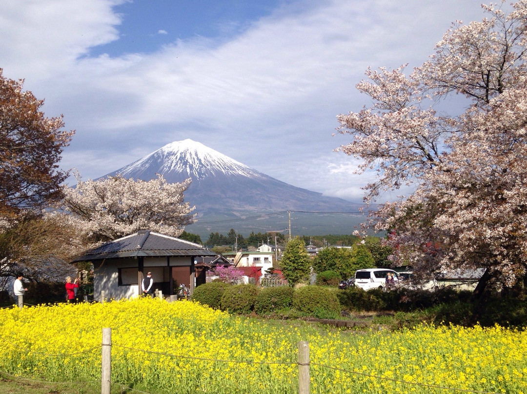 Kariyado no Geba Zakura (Sakura)景点图片