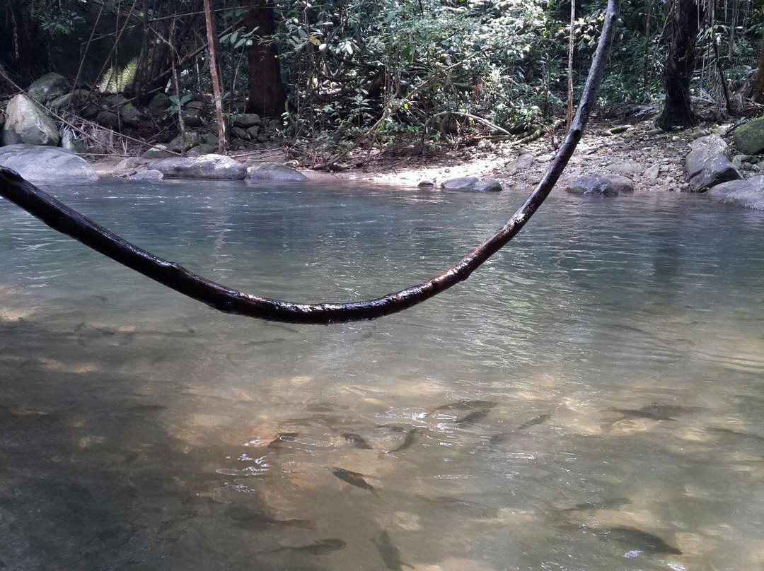 Khao Chamao Waterfall景点图片