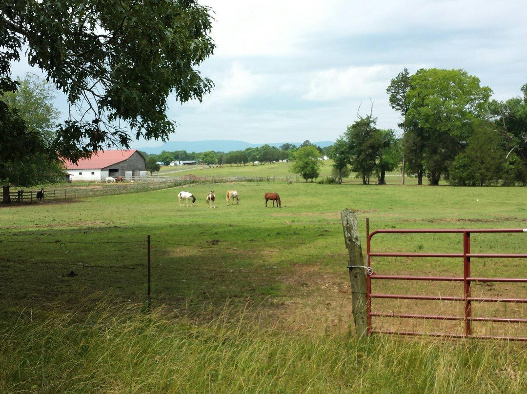 Trails End Ranch-查塔努加必去景点