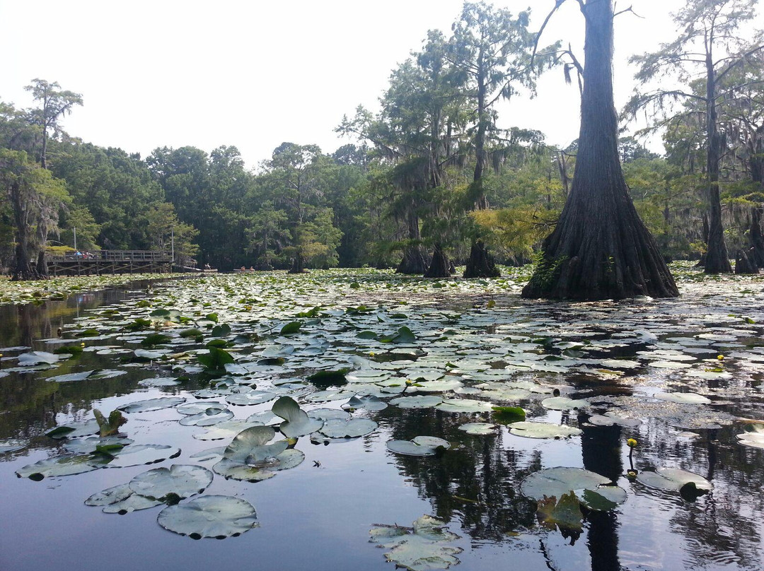 Karnack旅游攻略图片