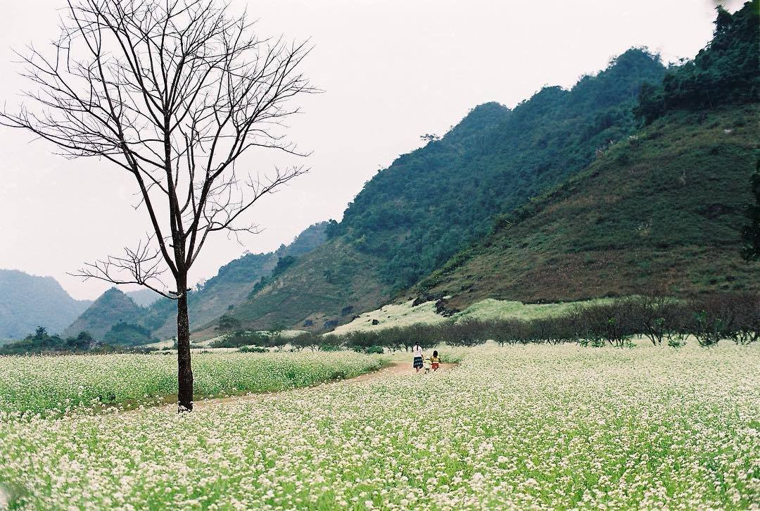 Lai Chau旅游攻略图片