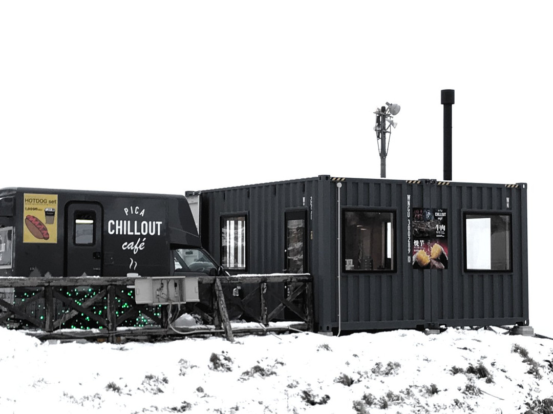 ピカチリアウトカフェ