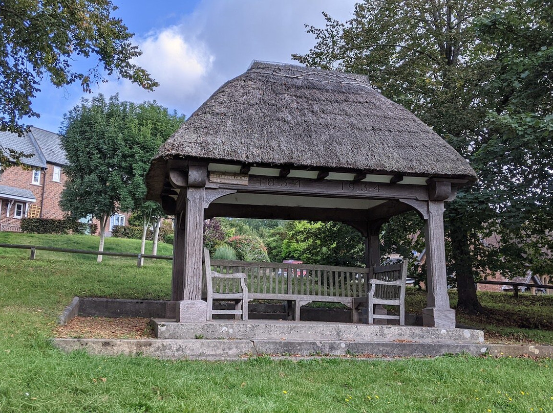 The Tolpuddle Martyrs Tree景点图片