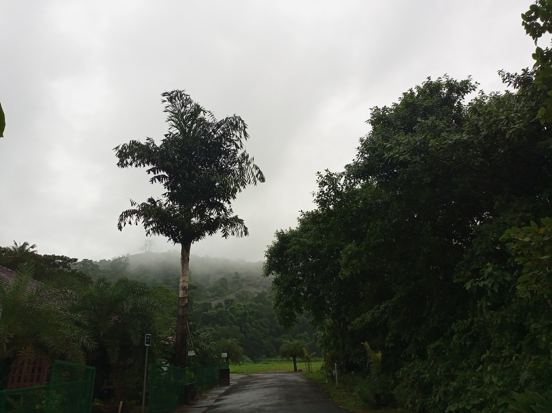 Apka Ecovillage