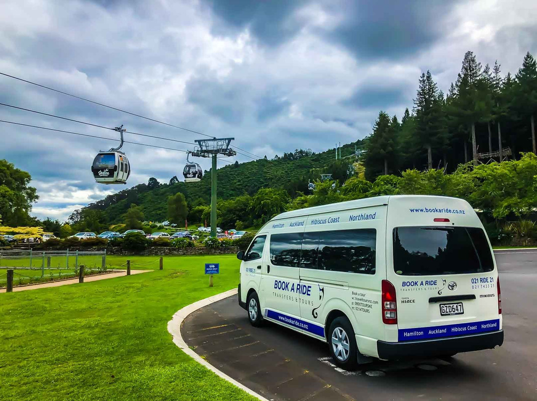 Airport Shuttle Transfers & Taxi Services-奥克兰必去景点