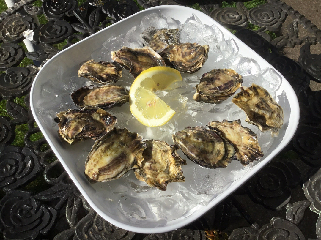 Nevør Shellfish Farm-蒂拉穆克必去景点