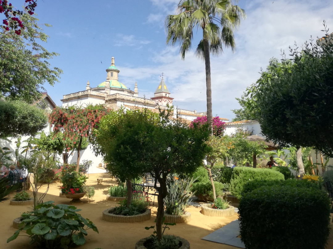 Palacio de Medina Sidonia景点图片