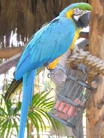 Santa Ana Zoo at Prentice Park