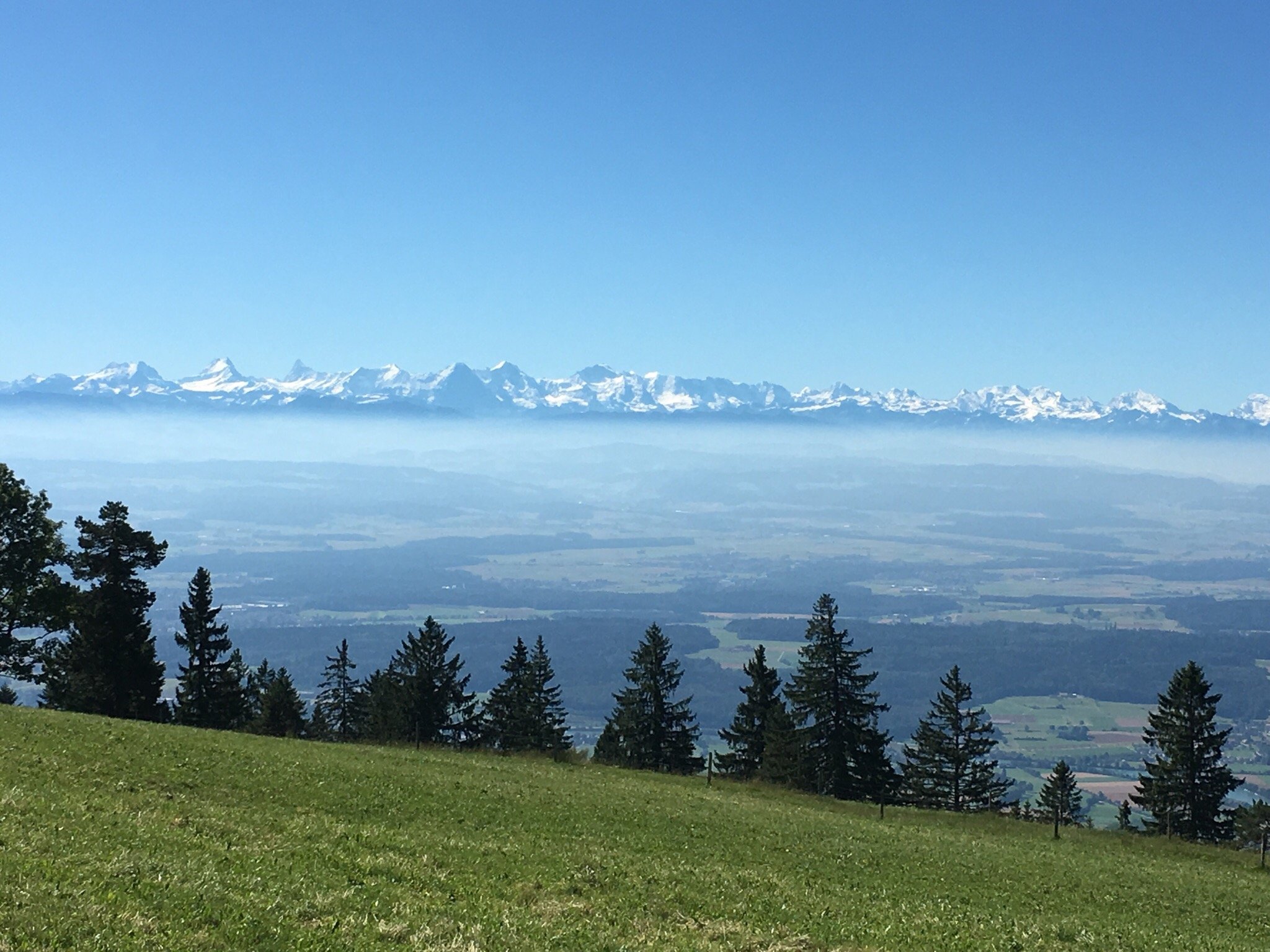Gasthof Hinter-Weissenstein-官方