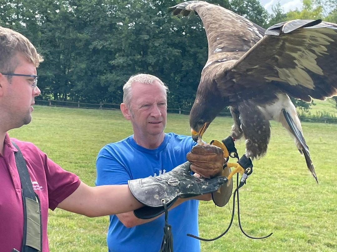 UK Owl And Raptor Centre景点图片