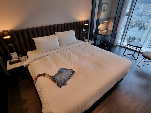 拉瓦尔斯酒店主图