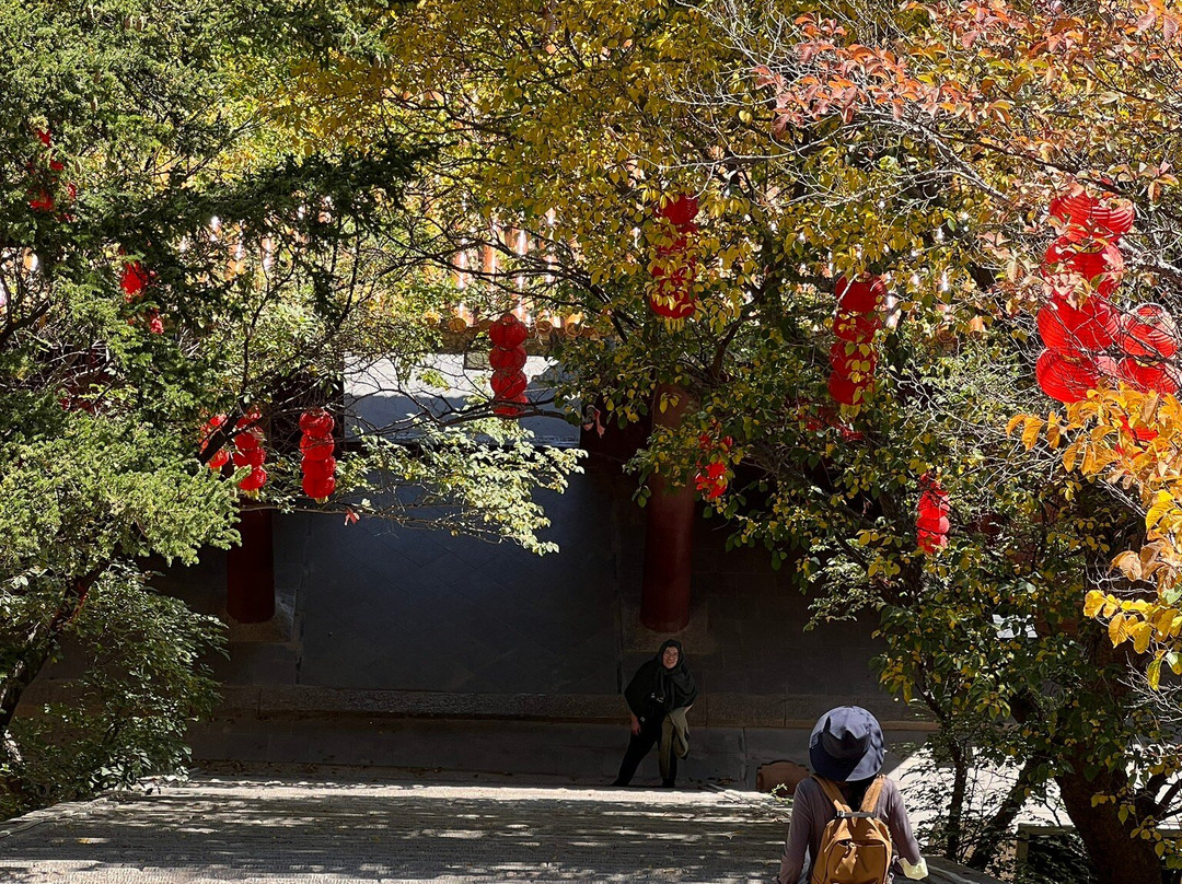 恒山森林公园-浑源县必去景点