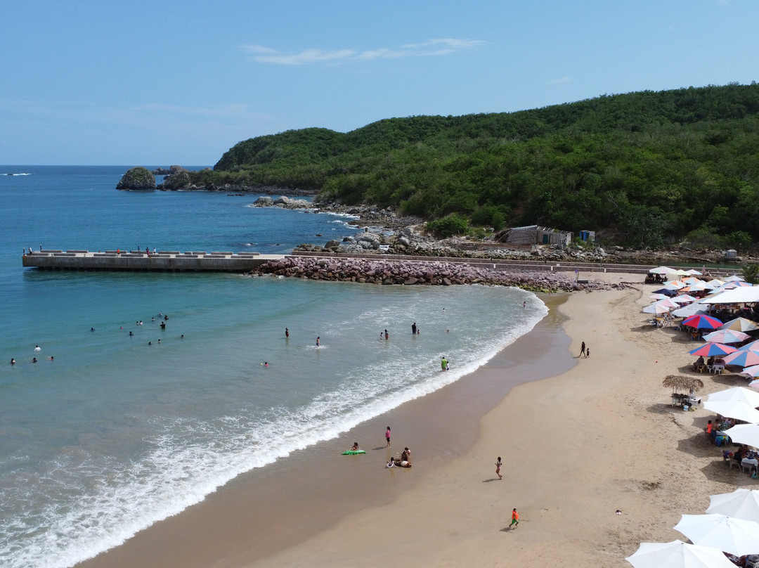 Hotel Punta Palmeras