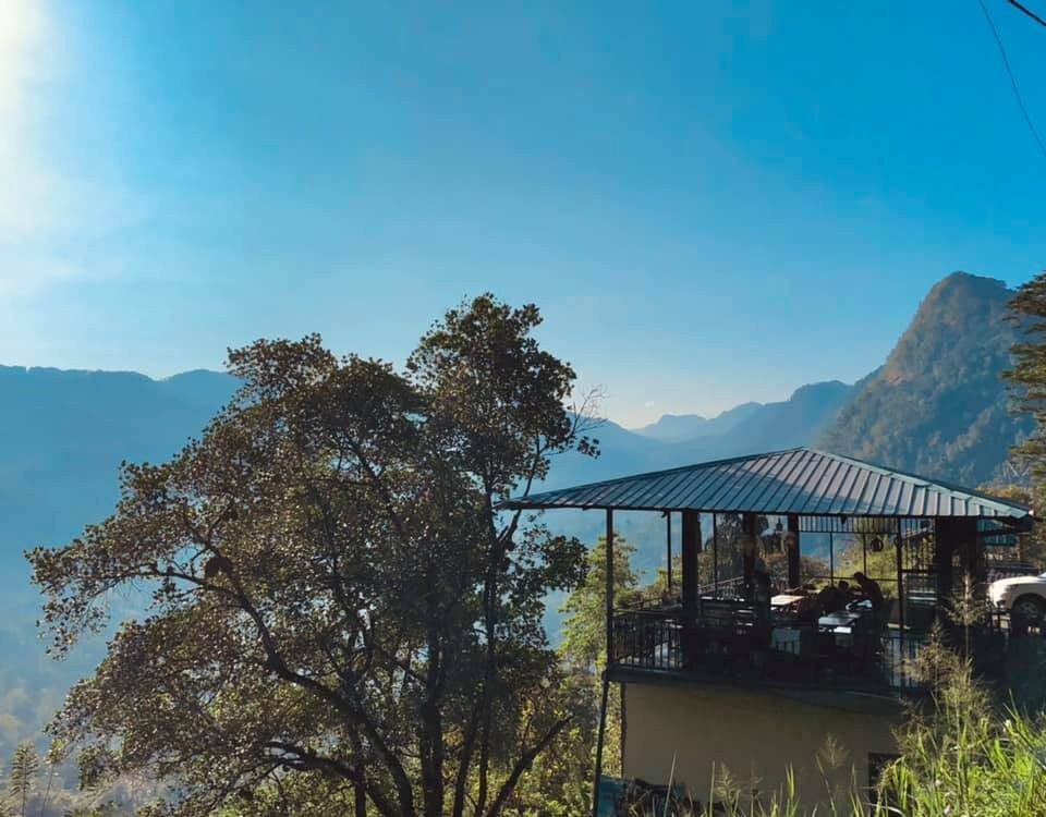 Jungle River Cafe & Pizzeria