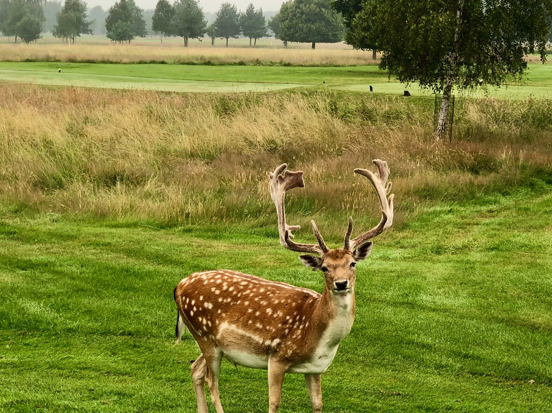 Belton Park Golf Club景点图片