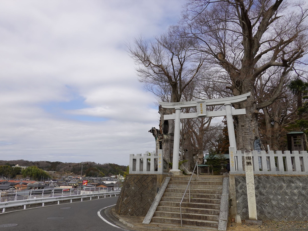 Wakamiya Hachimangu景点图片