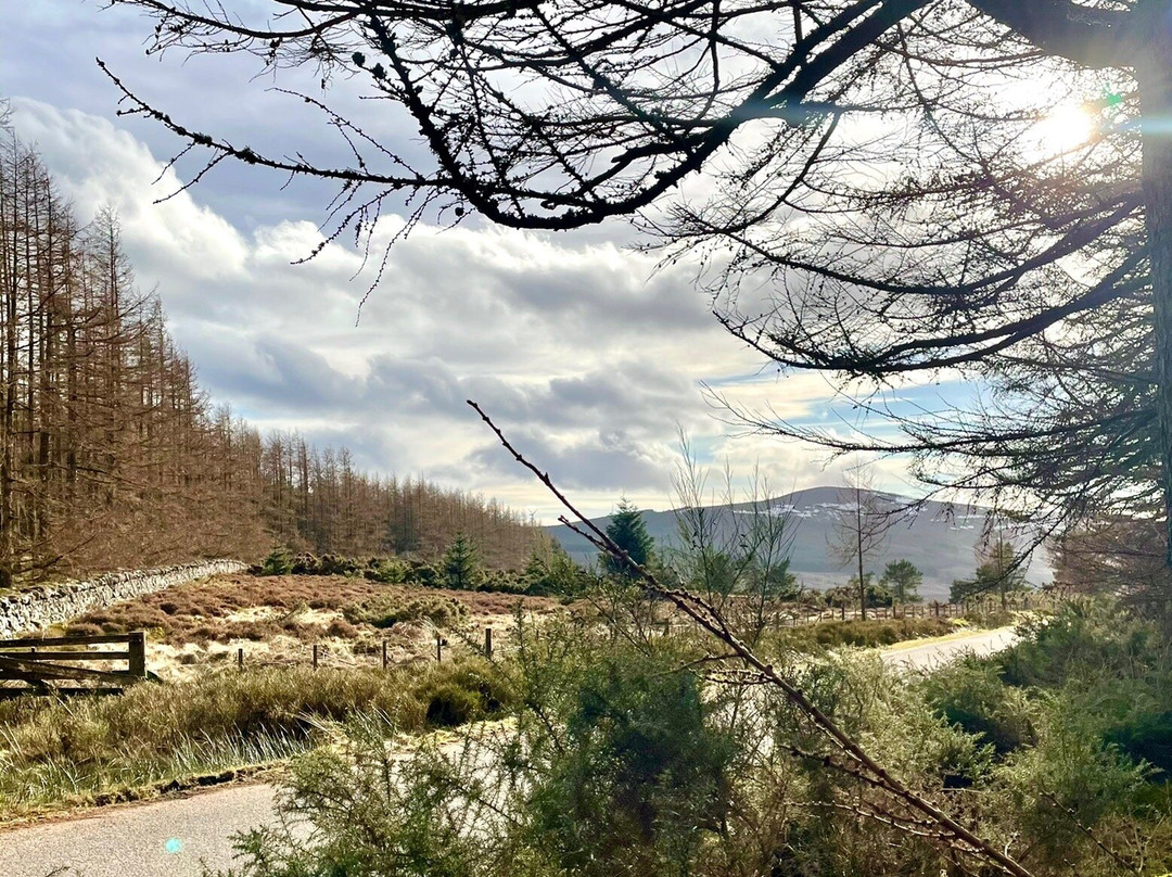 Nine Stanes Stone Circle-Banchory必去景点