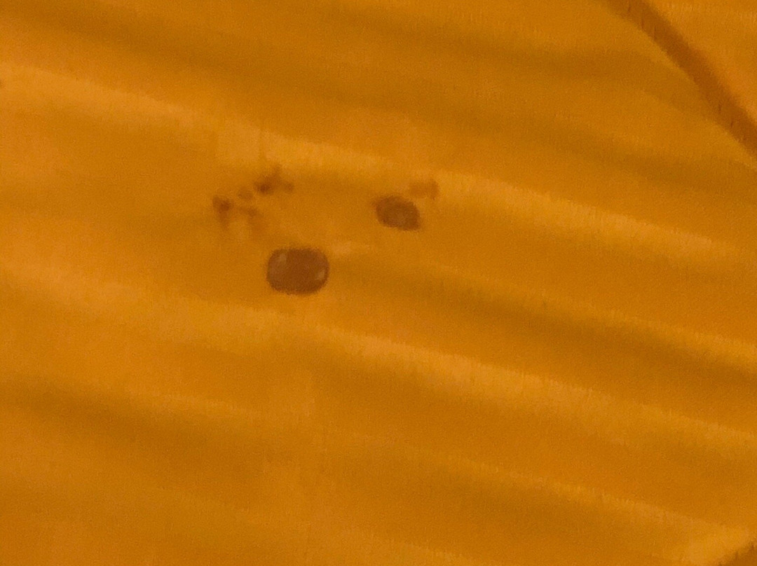 Country Hearth Inn & Suites主图