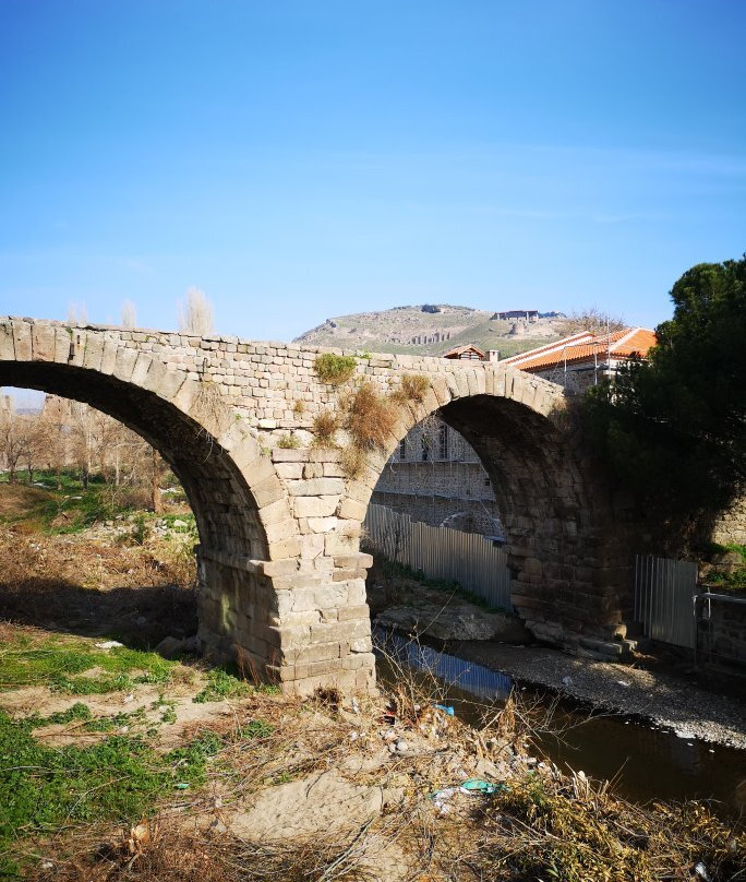 Izmir Bergama Museum景点图片
