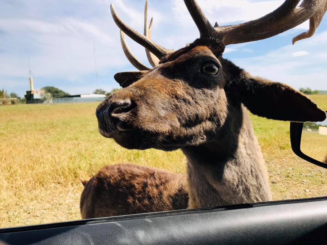 Paseos Monterrey-蒙特雷必去景点