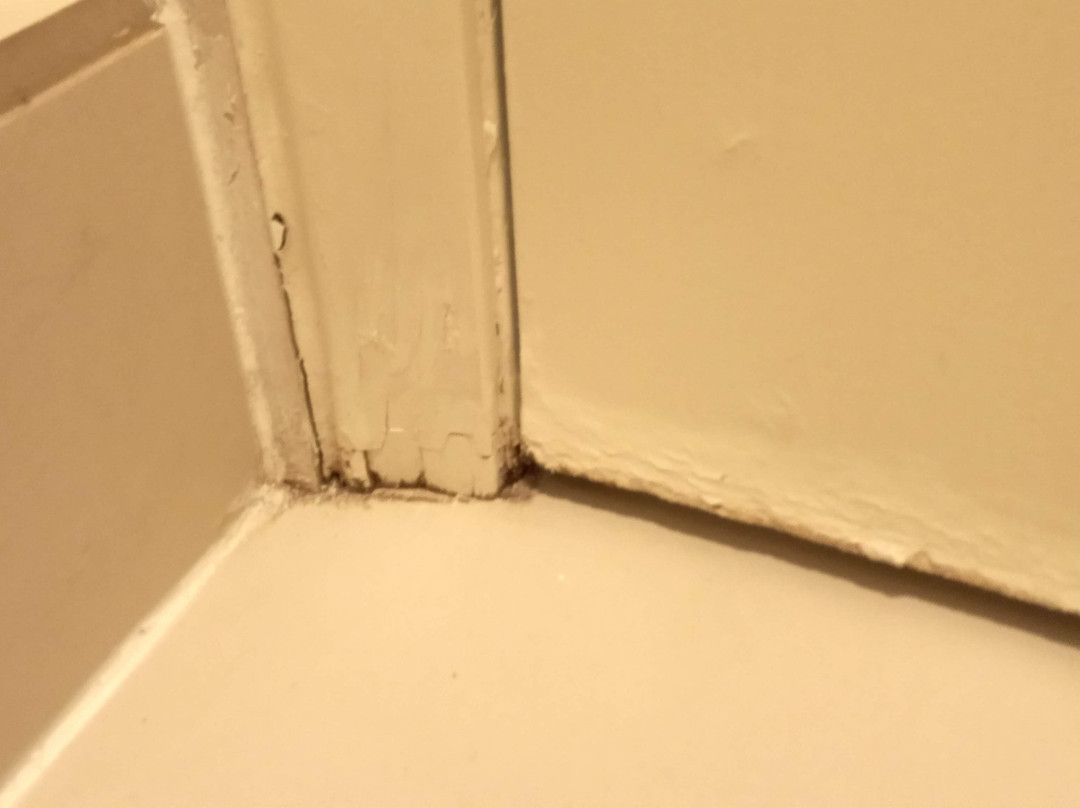 蒂布龙小屋酒店主图