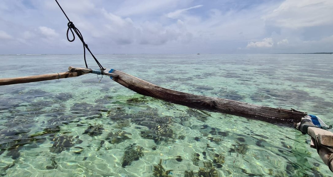 Mandhari Villa Hotel & Resort主图