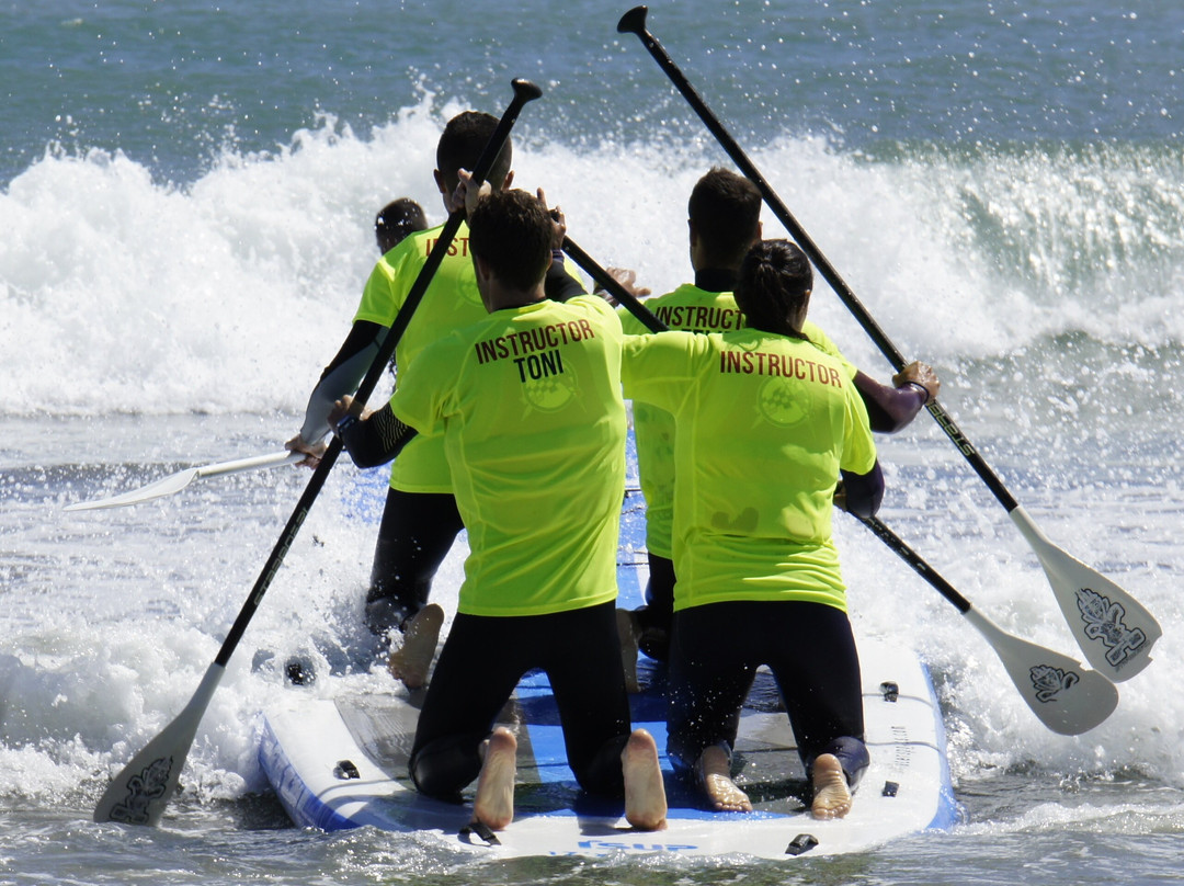 ApartHotel Playa Oliva主图