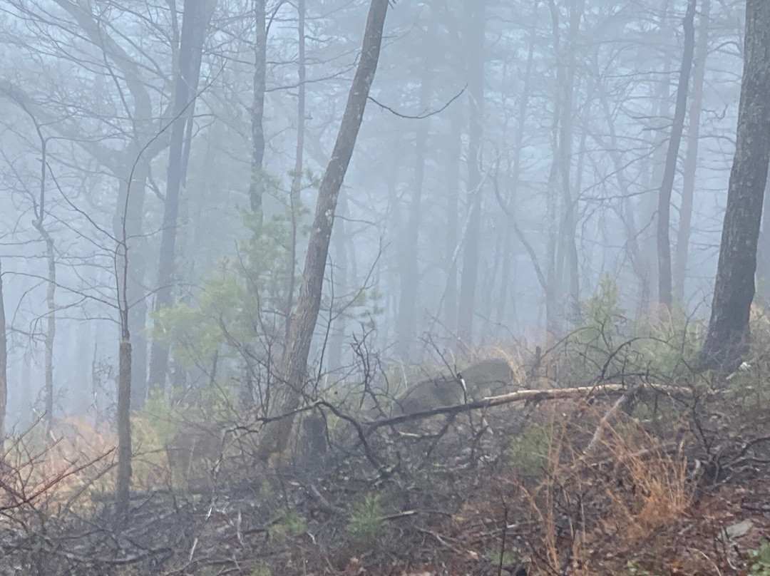 South Mountains State Park-Connelly Springs必去景点