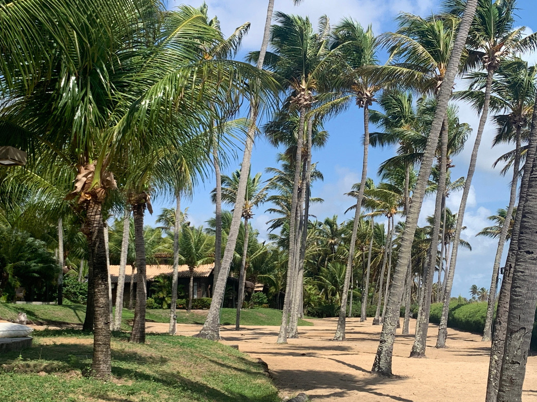 Siri Paraiso Hotel主图