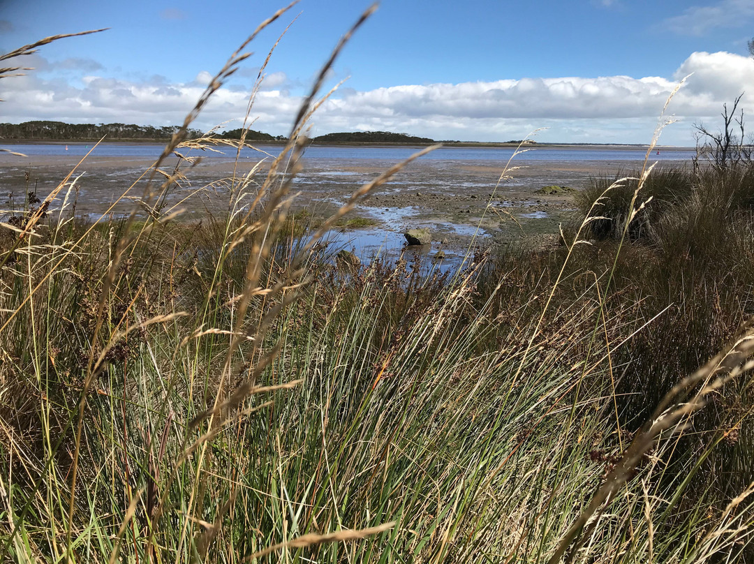Duck River Foreshore Path-Smithton必去景点