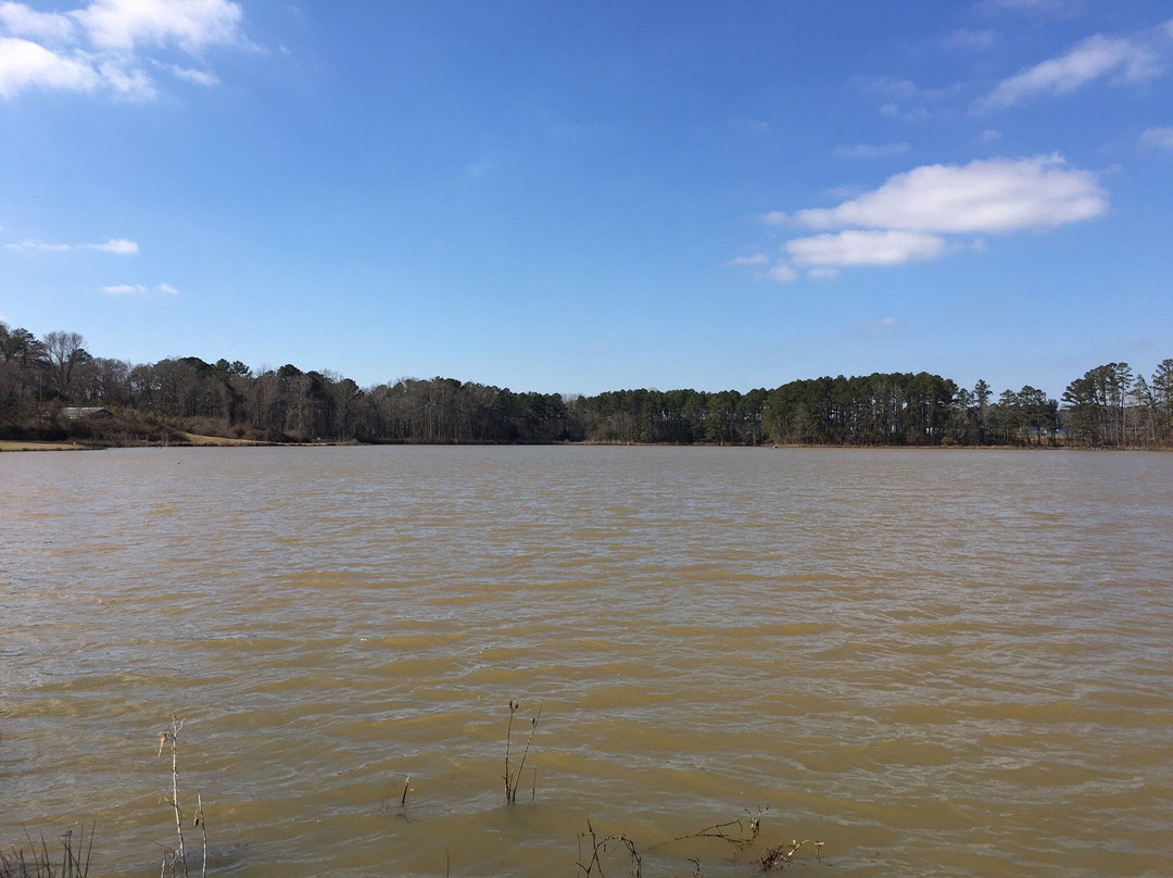 City Pond Park-卡温顿必去景点