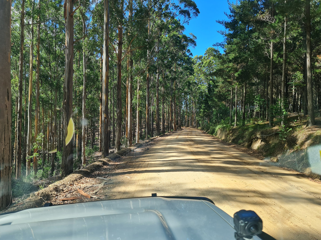 Prince Alfred Pass-克尼斯纳必去景点