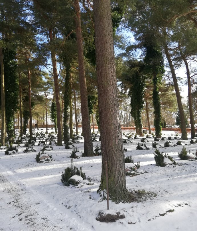 Holme Kirke景点图片
