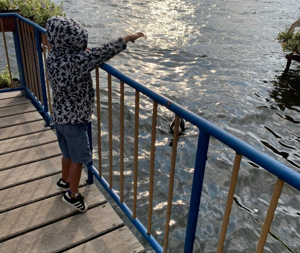 Hosteria Cabanas del Lago主图