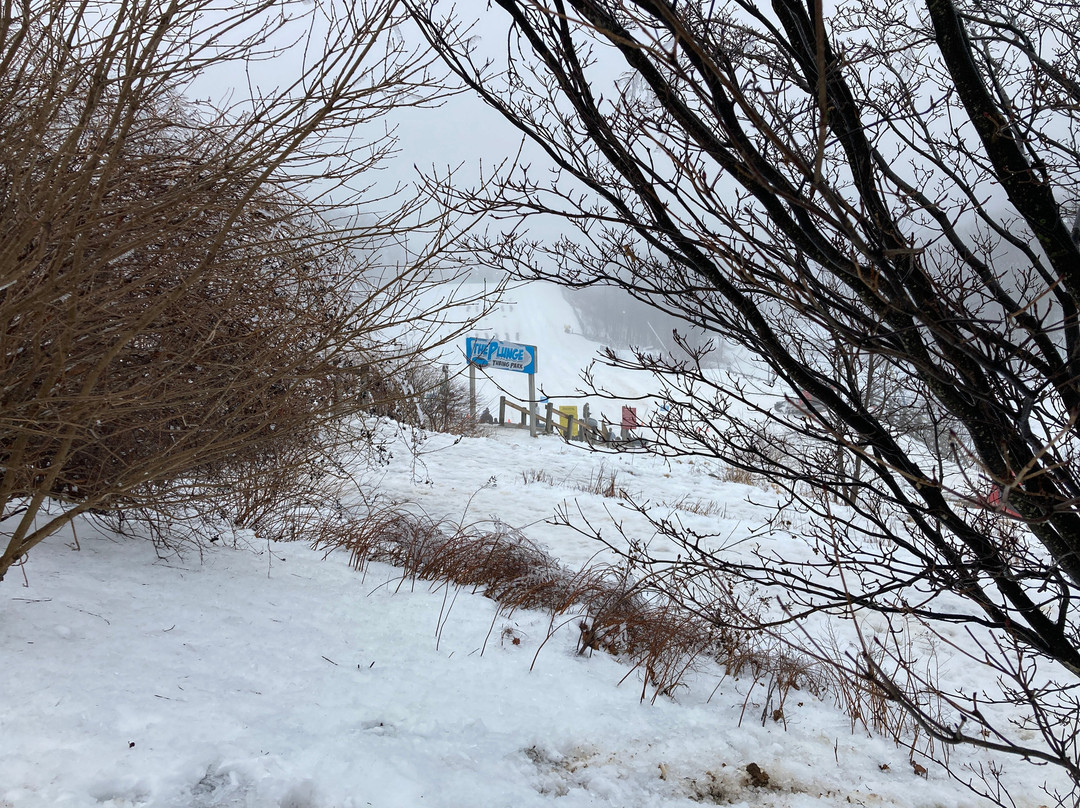 Wintergreen Resort-Wintergreen必去景点