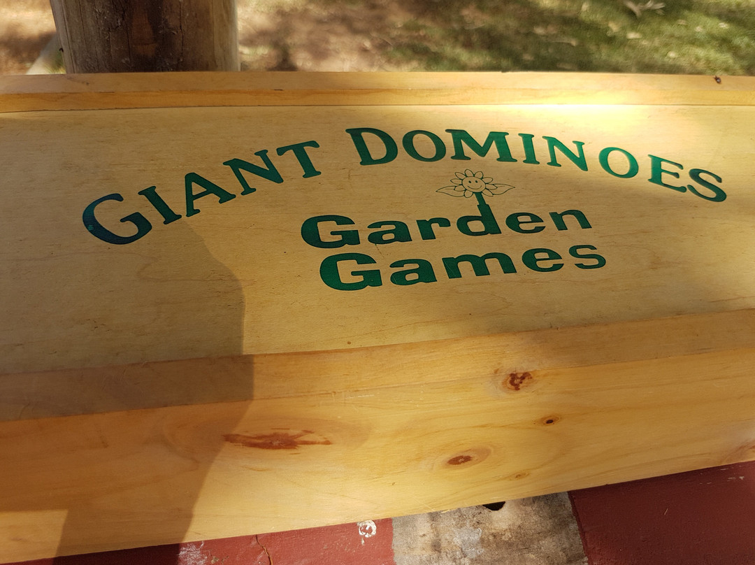 Dongara Activity Park景点图片