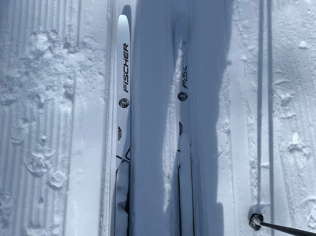 Winding Trails-Farmington必去景点