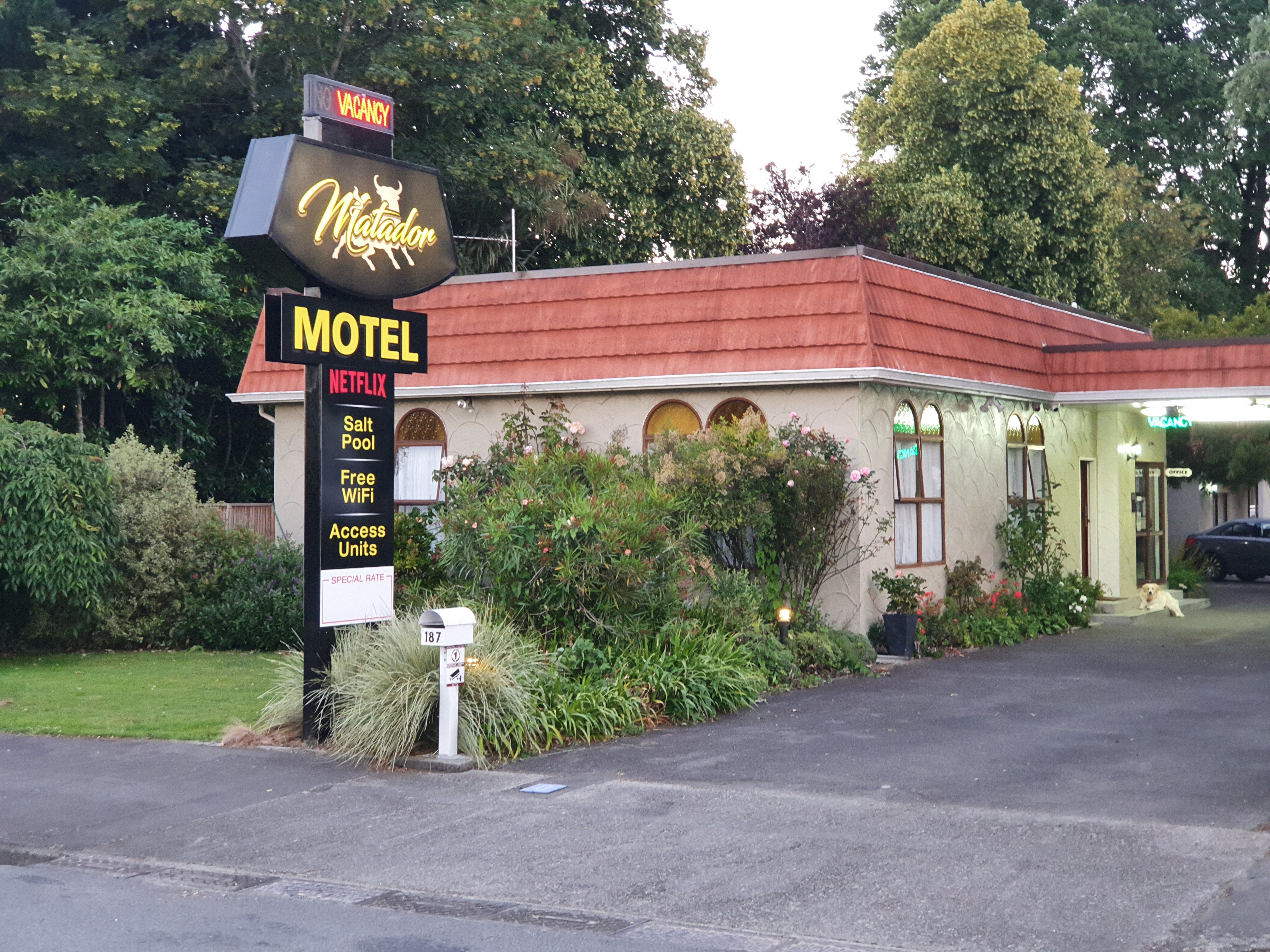 Matador Motel-官方