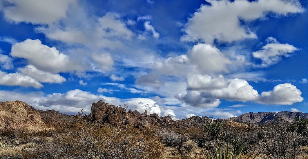 Cottonwood Visitor Center-约书亚树国家公园必去景点