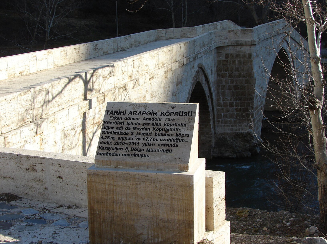 Tarihi Meydan Köprüsü