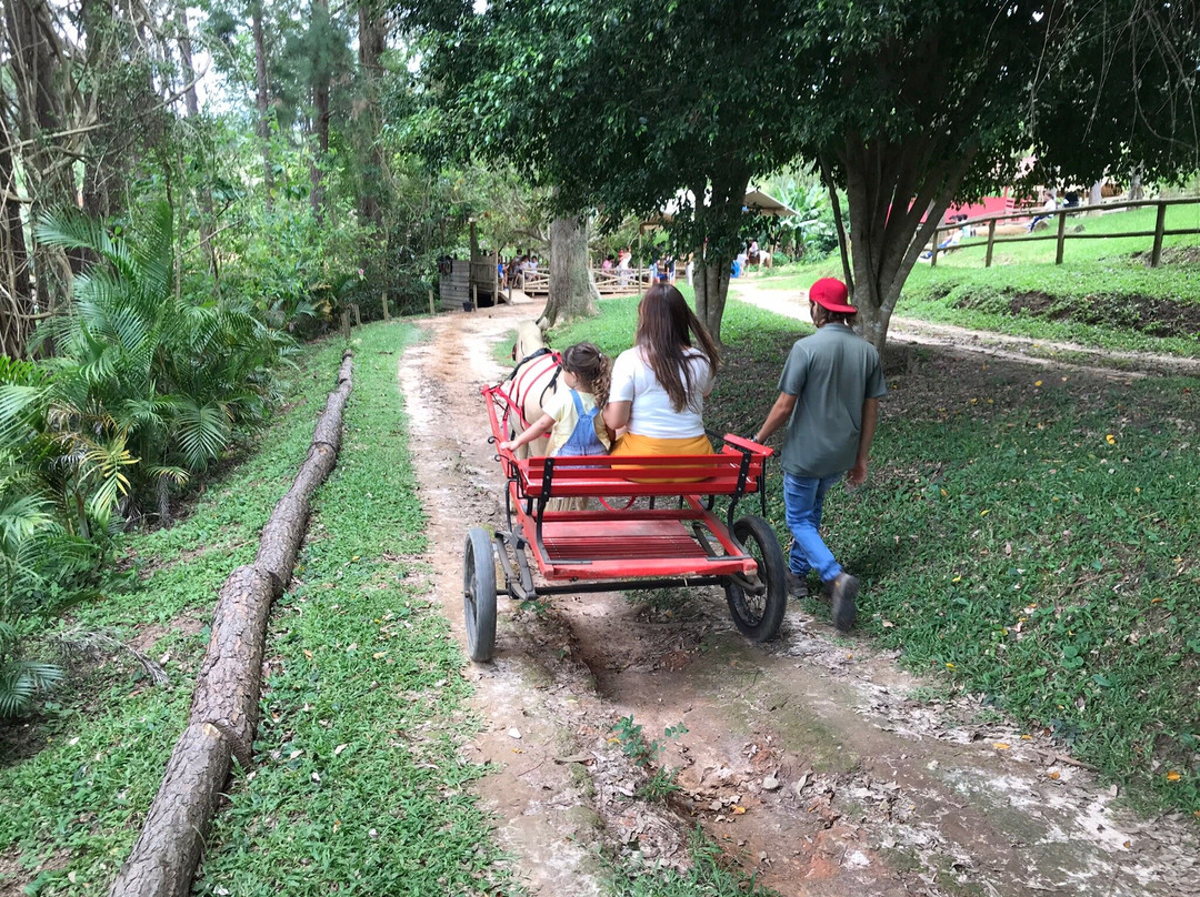 Bicho Mania-Cotia必去景点