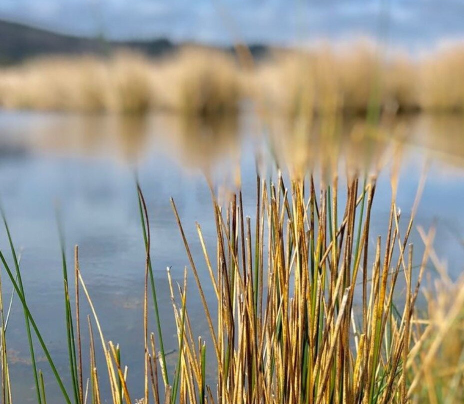 Putu Sand Dunes-Putu必去景点
