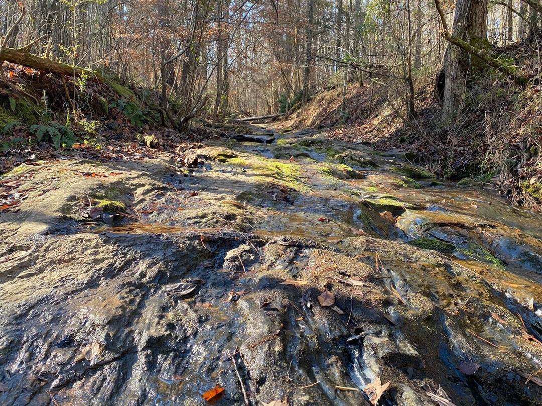 Hard Labor Creek State Park景点图片