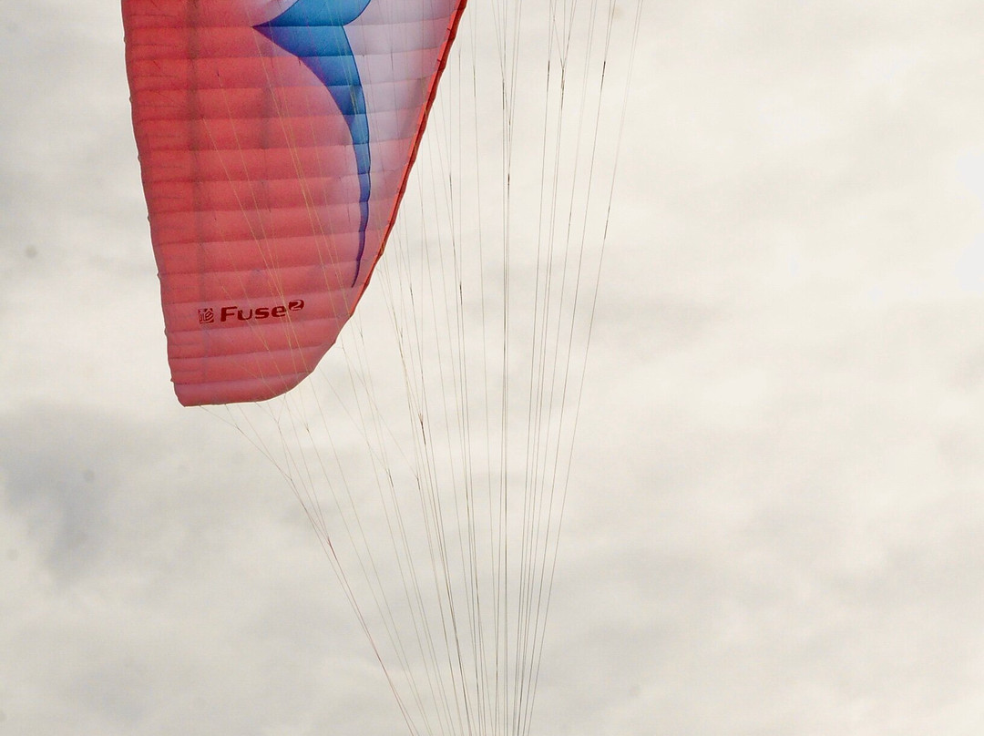 High 5 Paragliding-Carmona必去景点