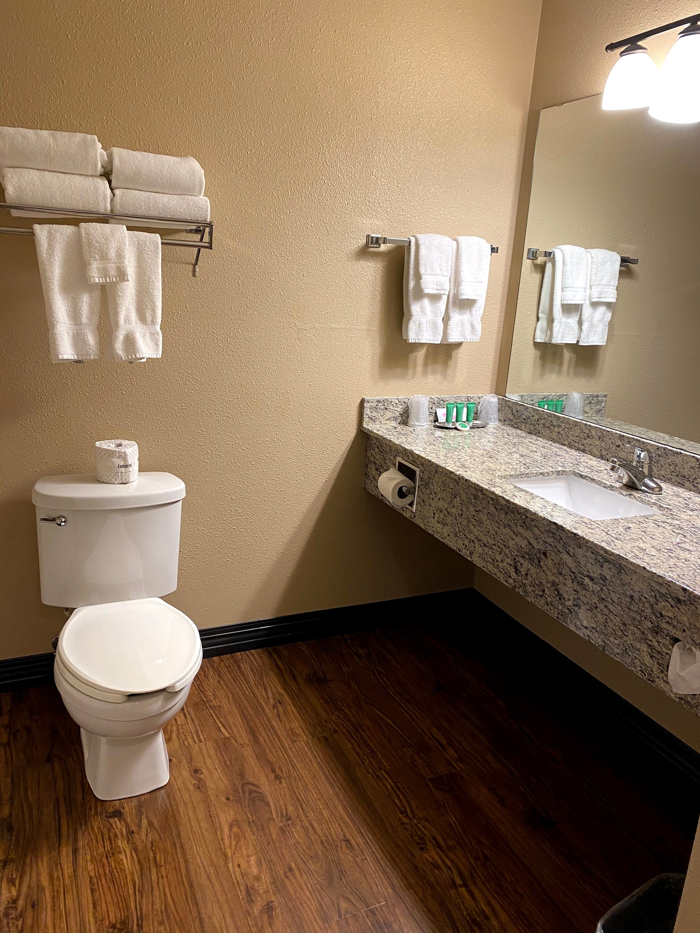 Country Inn River Falls-浴室