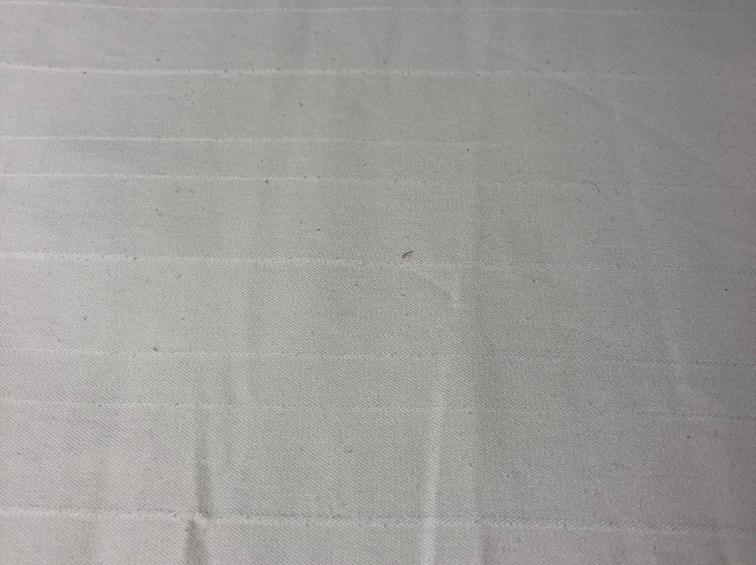 Microtel Inn & Suites by Wyndham Minot主图