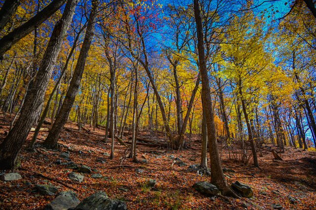 Maryland Heights Trail景点图片